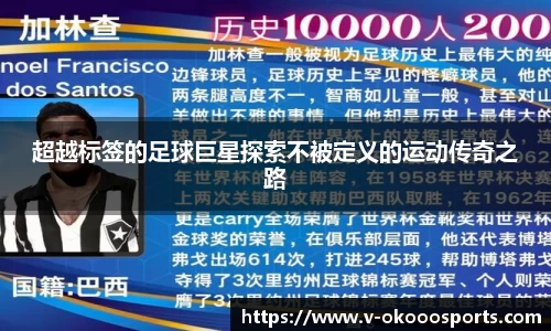 超越标签的足球巨星探索不被定义的运动传奇之路